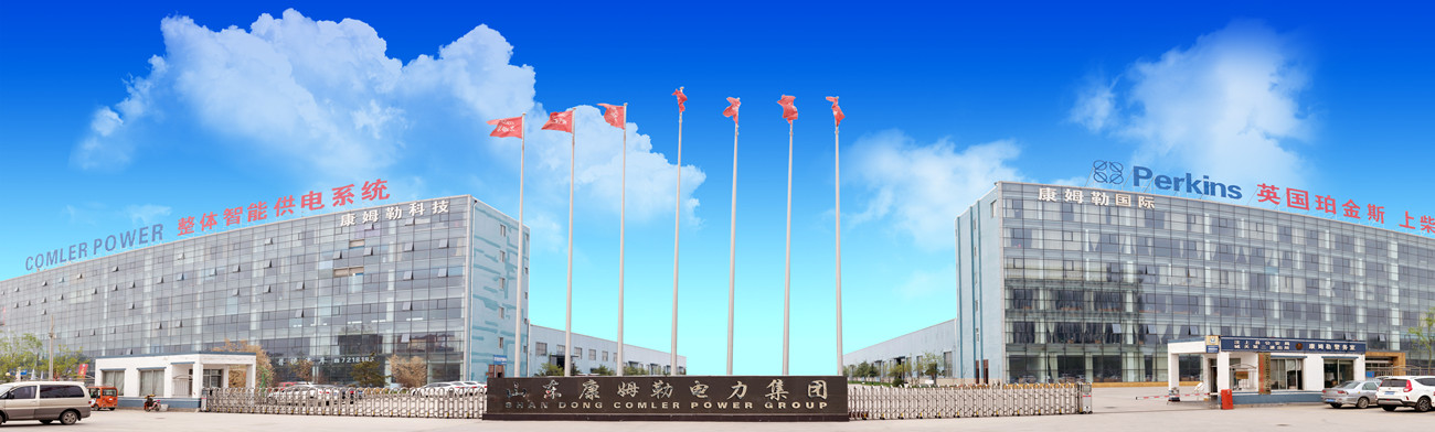 国产精品嫩草影院免费電力集團公司（sī）簡介